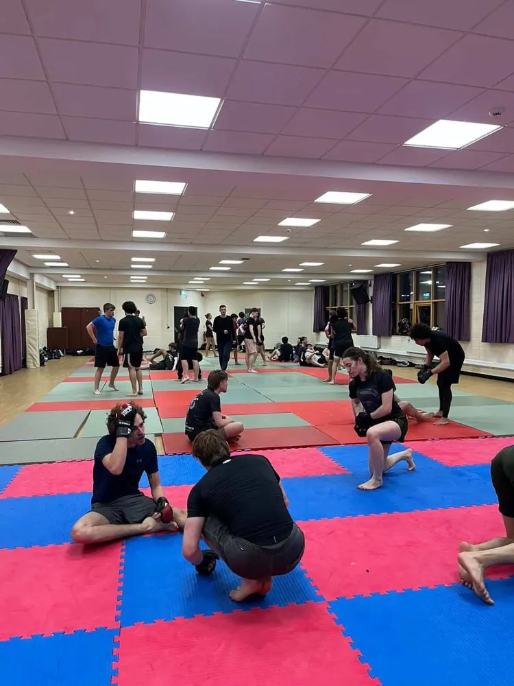 A session in progress across the mats